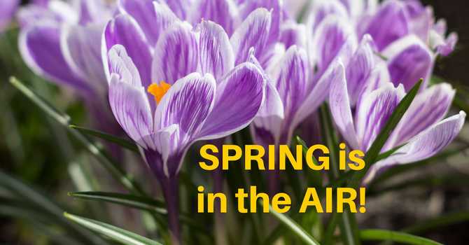 SPRING is in the AIR! image